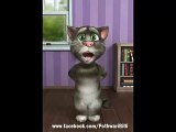 Funny Cat Video, Punjabi Funny Video, Doll Main sone di, Funny Baby