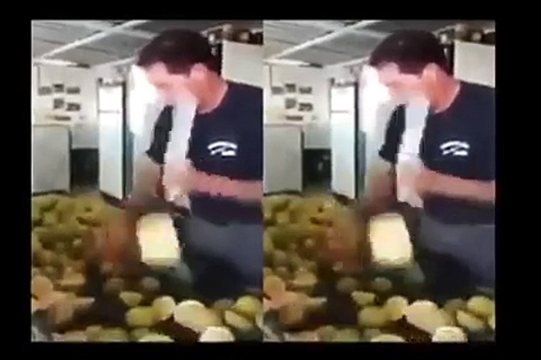 funny worker