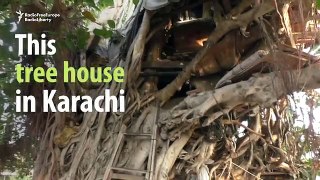 Meet the man who’s been living on a tree in Karachi for 18 years - Video Dailymotion