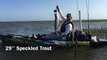 29'' Speckled Trout from Kayak