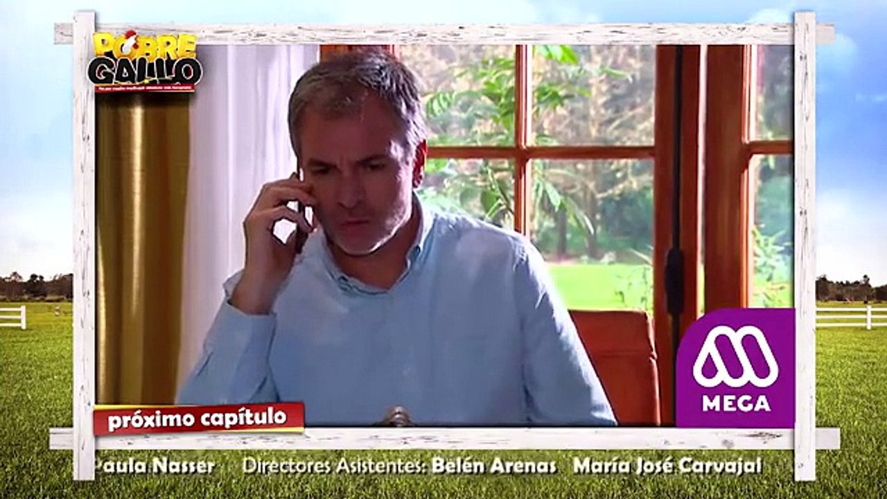 125 Avance Pobre Gallo