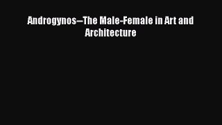 Read Androgynos--The Male-Female in Art and Architecture PDF Free