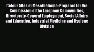 Read Colour Atlas of Mesothelioma: Prepared for the Commission of the European Communities