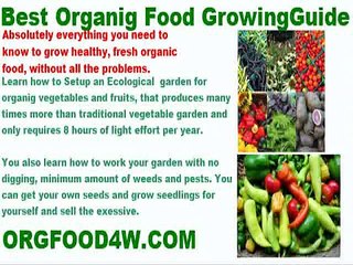 spring onion growing in kenya