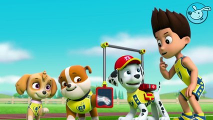 Paw Patrol - Pups Save the Soccer Game - game for children