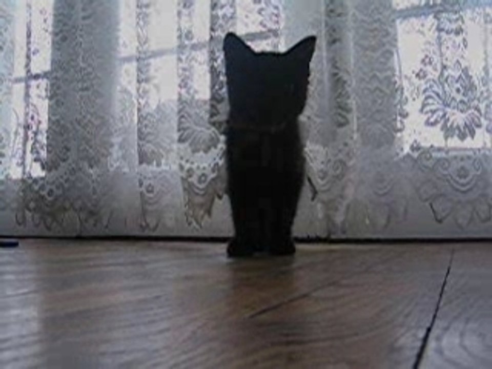 Chat_preview