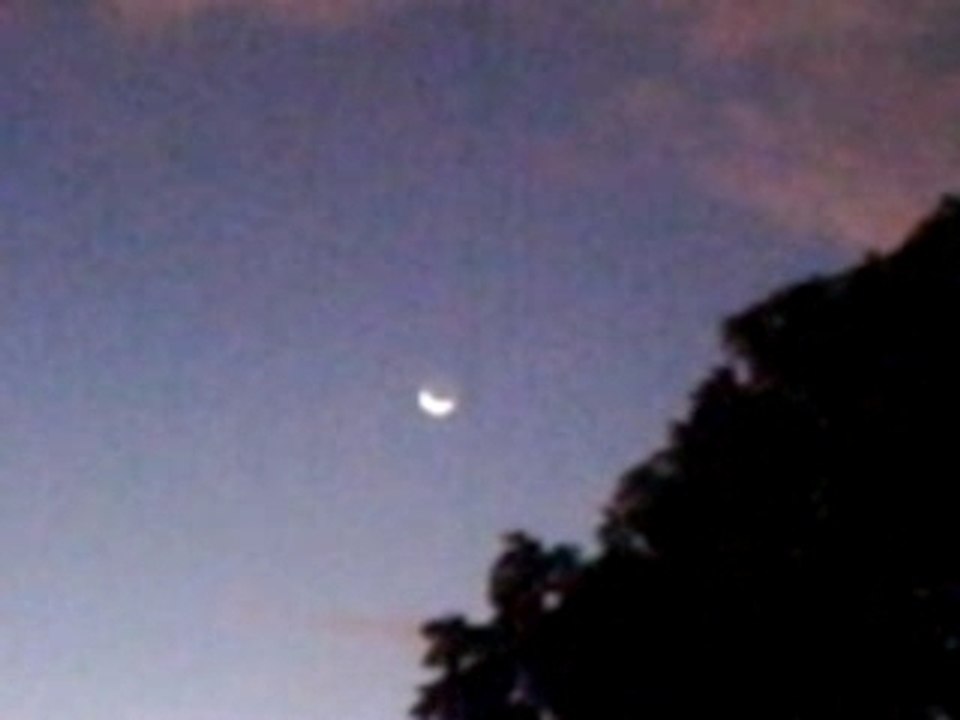 Venus lune