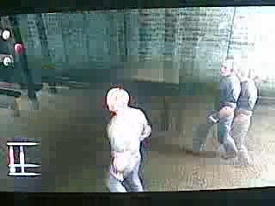 Statut broyeur furieux dernier acte hitman blood money