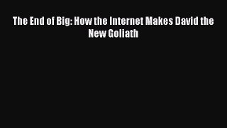 Read The End of Big: How the Internet Makes David the New Goliath Ebook Online