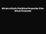 Read Book Africans in Brazil a Pan African Perspective: A Pan-African Perspective ebook textbooks