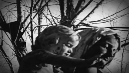 Tropic of Cancer - Be Brave