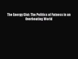 Read The Energy Glut: The Politics of Fatness in an Overheating World Ebook Free