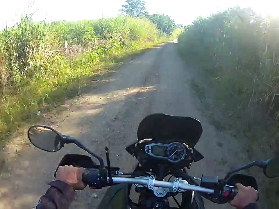 Tiger 800 XC + BMW G 650 GS + Teneré 250 # 2