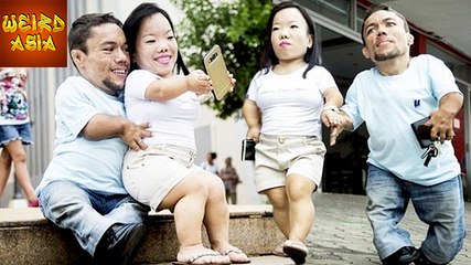The World's Shortest Couple | Paulo Gabriel Da Silva Barros And Katyucia | Weird Asia