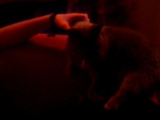 Chez Jenna: Cozy Dining Experience 🍽️