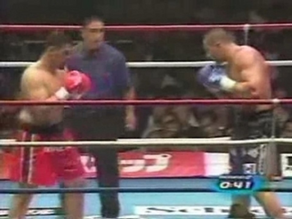 Mark Hunt v Jerome Le Banner I