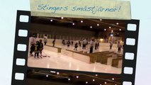 Stingers hockeyskola 19 december