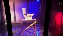 Regardez le chemin que prend un rat pour venir directement des égouts à vos toilettes !
