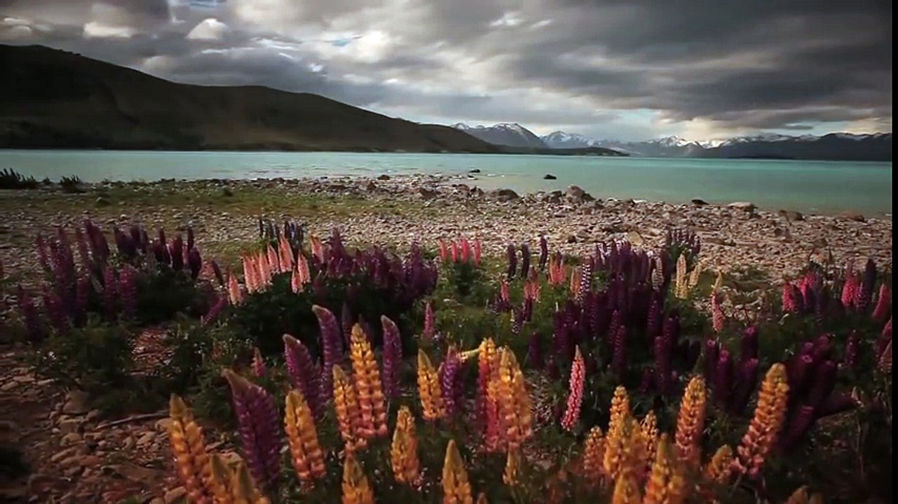 Magnifique paysage de la nouvelle-Zélande