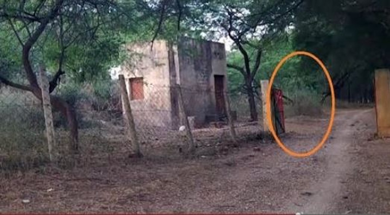GHOST at forest check post