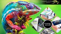 Professional Design Solutions For Your Business - Chameleon Print Group - Australia