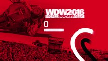 WDW 2016 - Stunt Rider Show