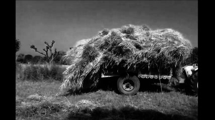 funny wheat overloading fail with tractor trolli at mohra salyal