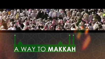 Tours to the Holy Land of Kaba