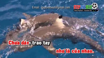 [Karaoke] Liên Khúc Remix - Đàm Vĩnh Hưng (Demo)