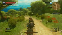 The witcher 3 Blood and Wine, parte 83, Caza Mayor con el conde Beledal