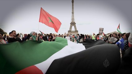ترويج فلسطين تحت المجهر- نبض من باريس