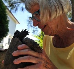 21 Yıldır Baktığı Kaplumbağasından Ağlayarak Ayrıldı