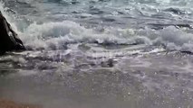 Waves On The Sea Beach Of The Pacific Ocean 4 - Stock Footage | VideoHive 15461569