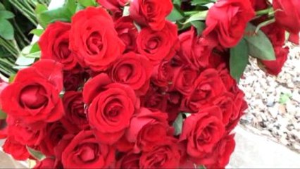 Osmaniye'de Şehitliklere Bayram Ziyareti