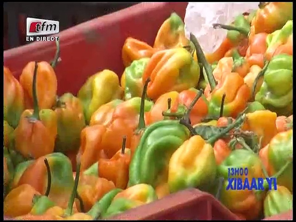 Xibar yi 13h - invité: Mamadou Youri SALL - 2 juillet 2016