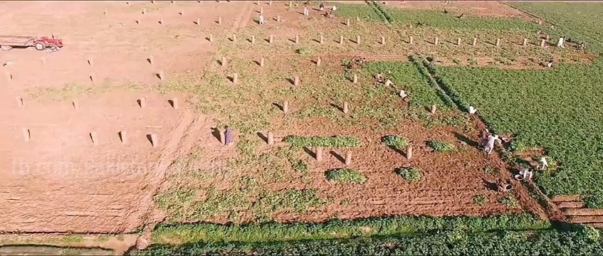 Trailer : Pakistanis made film on Chotu Gang of Rajanpur