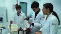 Estudiantes mexicanos crean plástico biodegradable con cáscaras de plátano