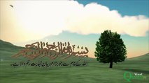 سورہ الرحمن کی دلکش آواز میں تلاوت ، اردو ترجمہ اور بہترین عکاسی کے ساتھ
