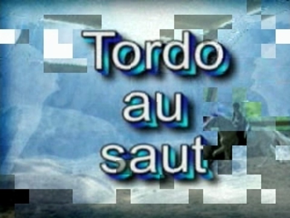 Tordo au saut
