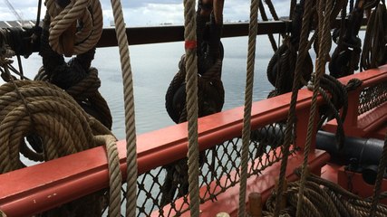 Escale de l'Hermione: la foule au rendez-vous.