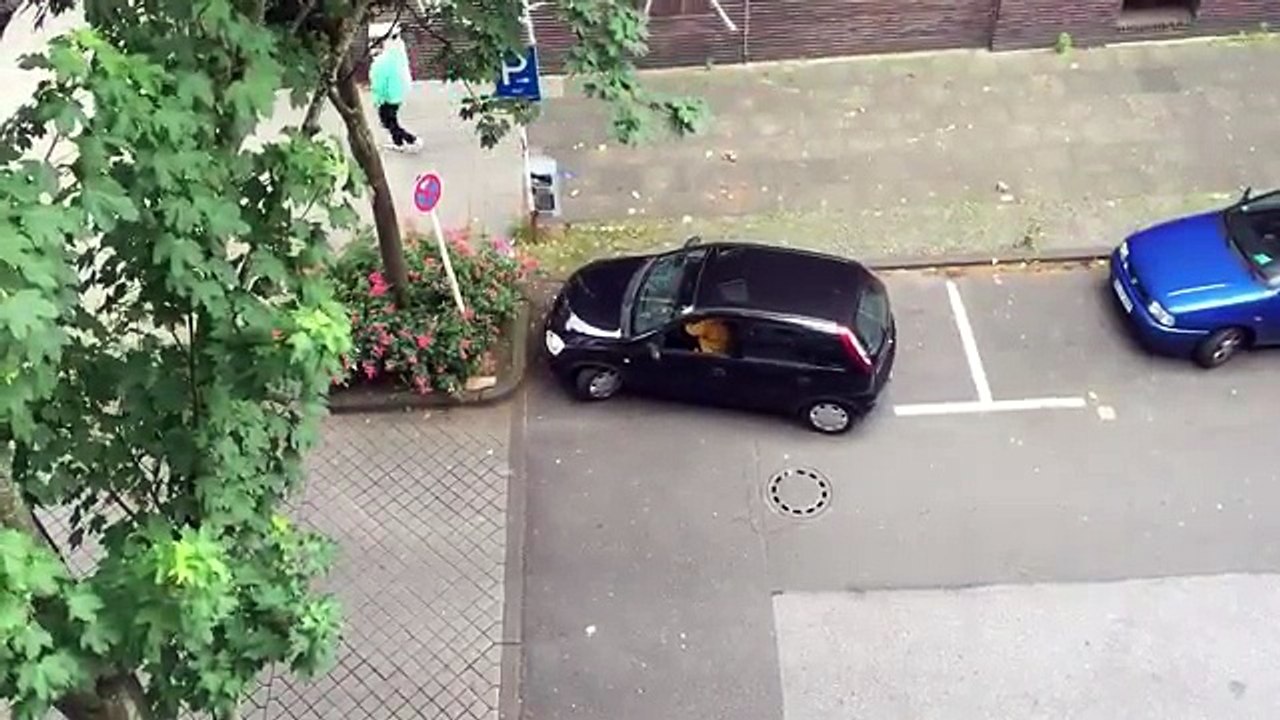 Bad Driving Skills Woman can't  Parking