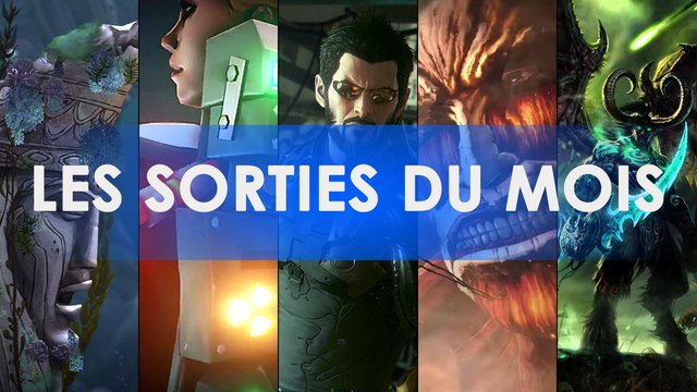 Les sorties du mois en vidéo - Eté 2016