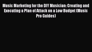 [Online PDF] Music Marketing for the DIY Musician: Creating and Executing a Plan of Attack