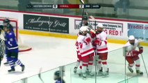 Highlights: Cornell Women's Ice Hockey vs. Western Ontario - 10/16/15