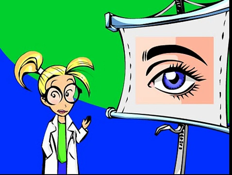 1.- Los Cinco Sentidos.- LA VISTA