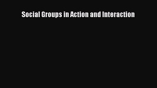 Read Social Groups in Action and Interaction PDF Free