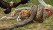 Most Amazing Wild Animal Attacks - Lion vs Snake vs Eagle Craziest Animal Fights