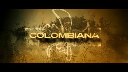 Colombiana (2011)  VOSTFR