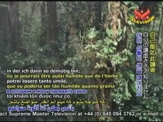 Our Real Birth is the Initiation-Part 1B