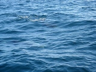 Petite terre juillet 07 claire et yann (86)